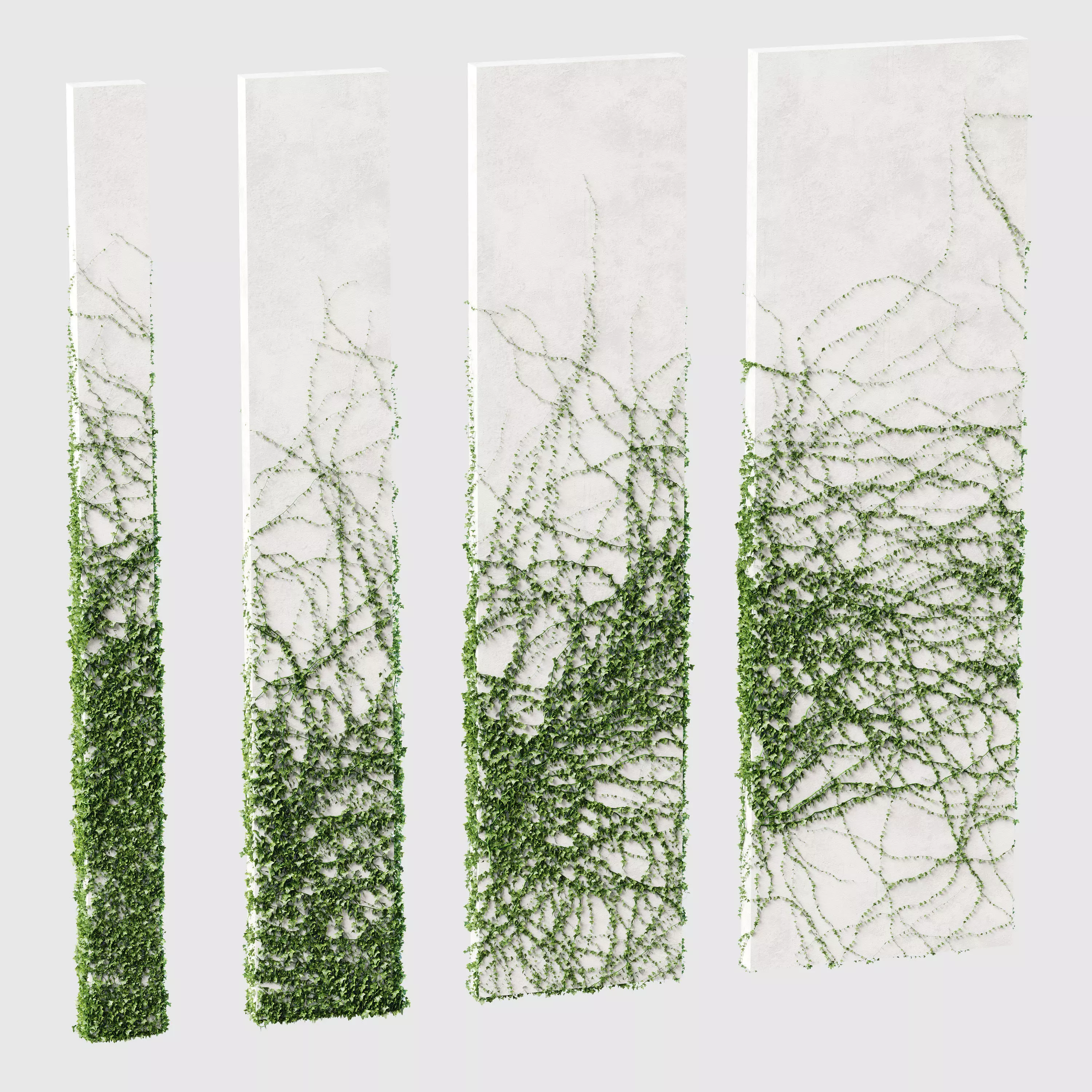 Ivy for rectangular columns 4 models 3D model_0