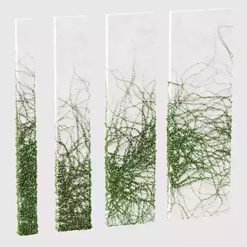 Ivy for rectangular columns 4 models