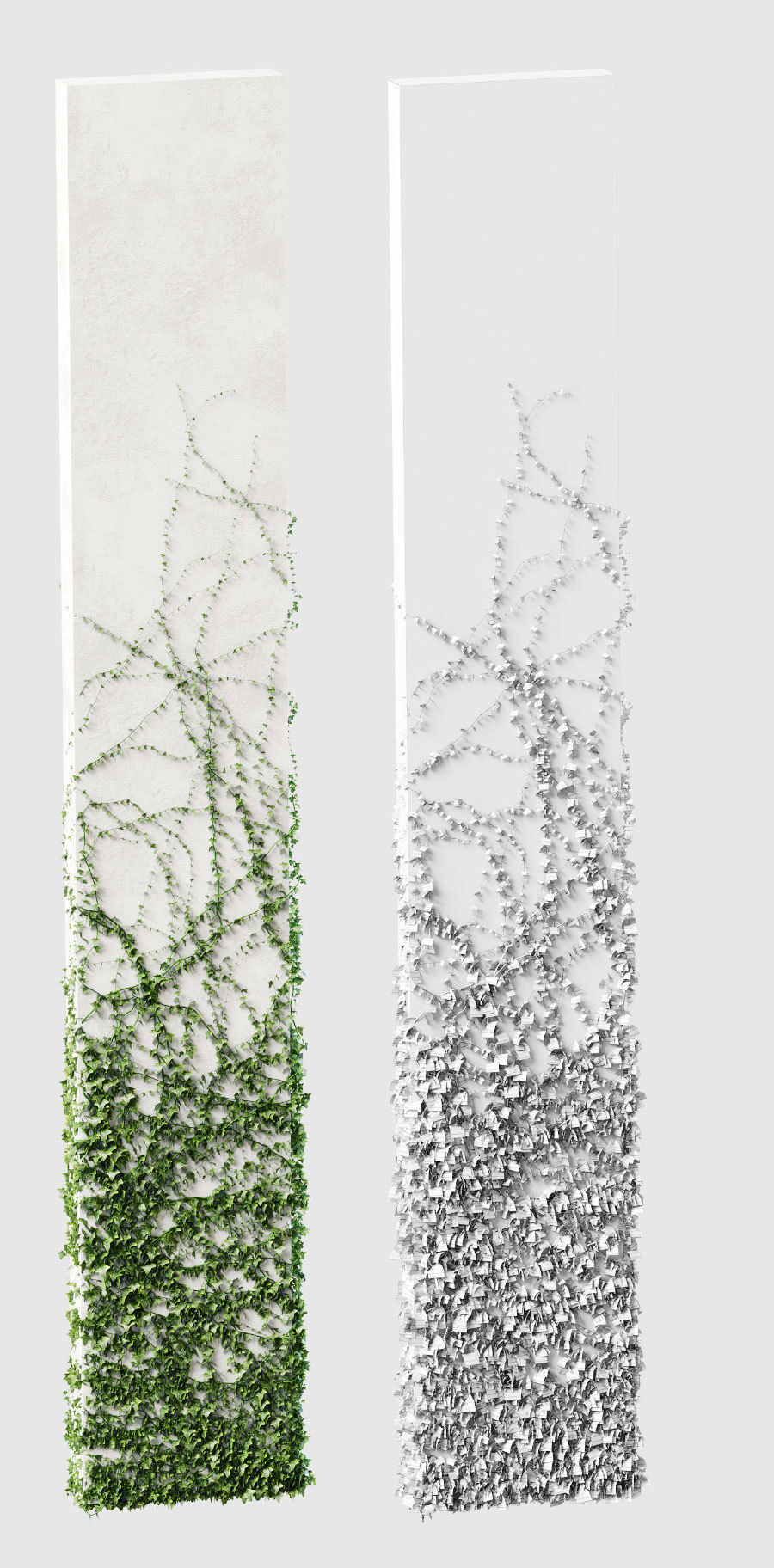 Ivy for rectangular columns 4 models 3D model_3