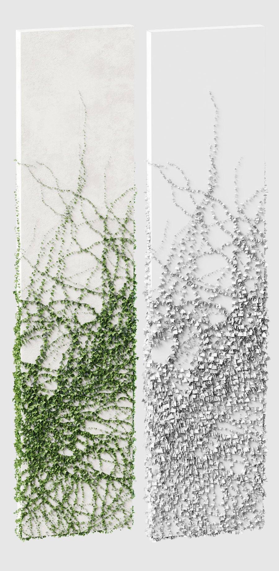 Ivy for rectangular columns 4 models 3D model_4