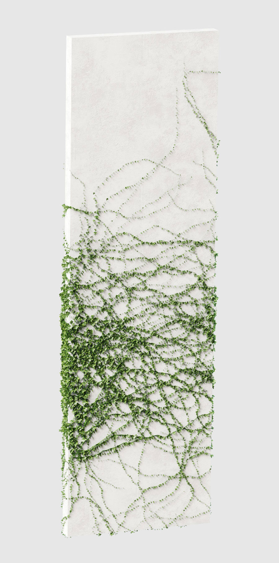 Ivy for rectangular columns 4 models 3D model_5