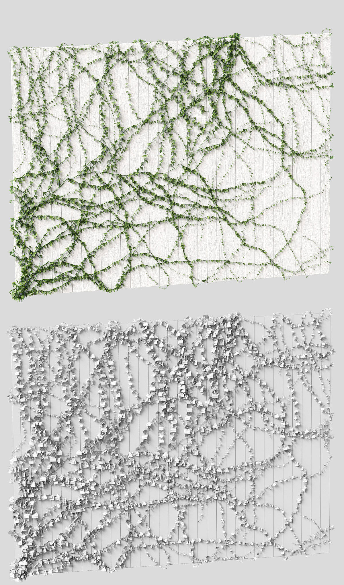 Ivy for the ceiling 4 models 3D model_4