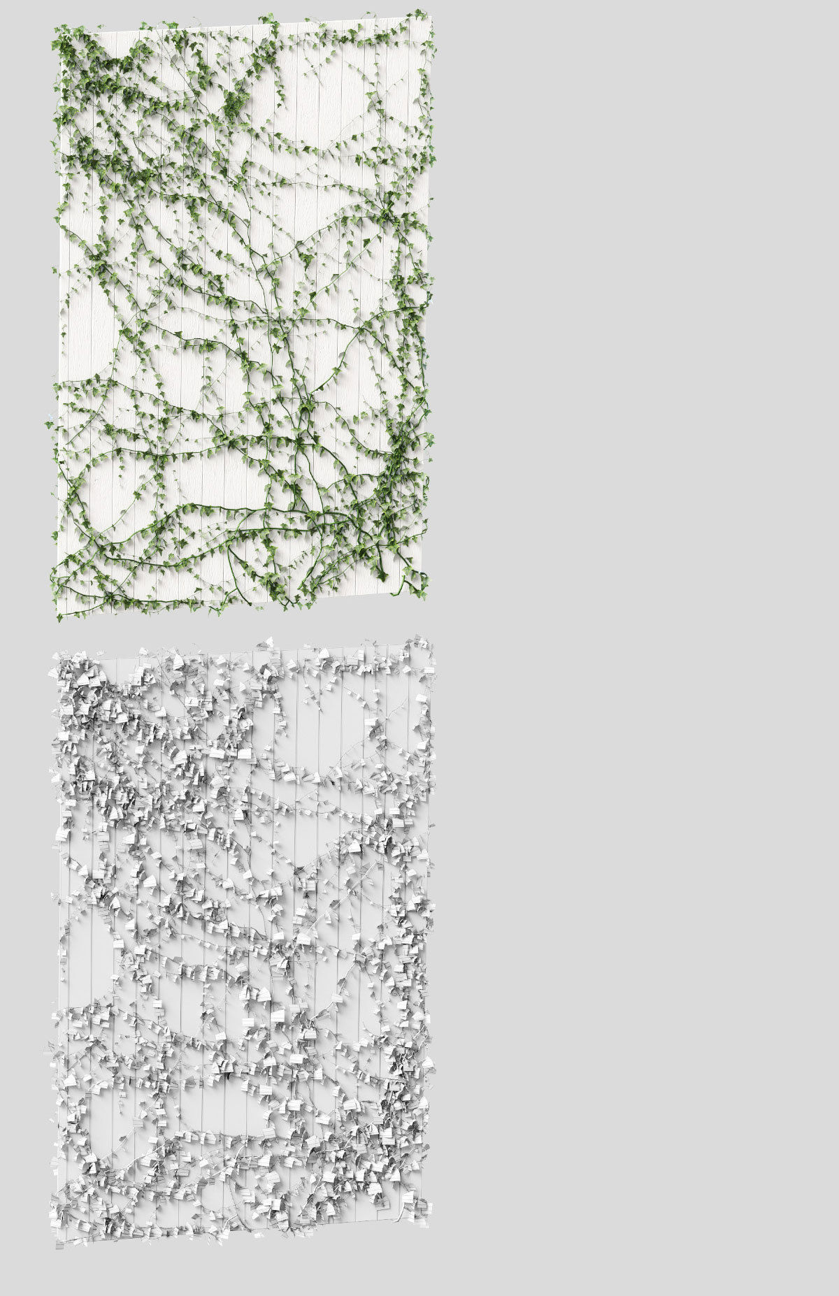 Ivy for the ceiling 4 models 3D model_2