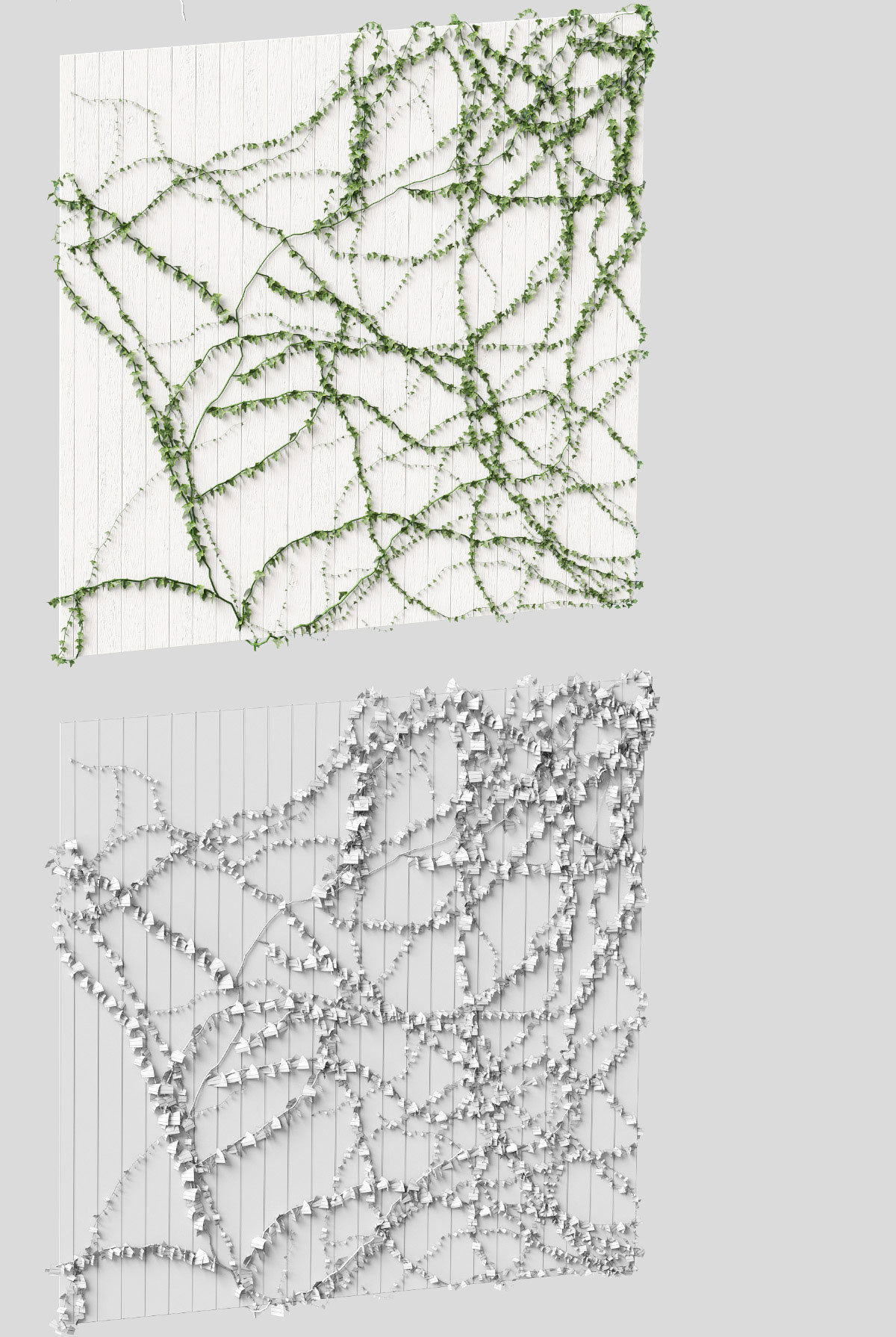 Ivy for the ceiling 4 models 3D model_5