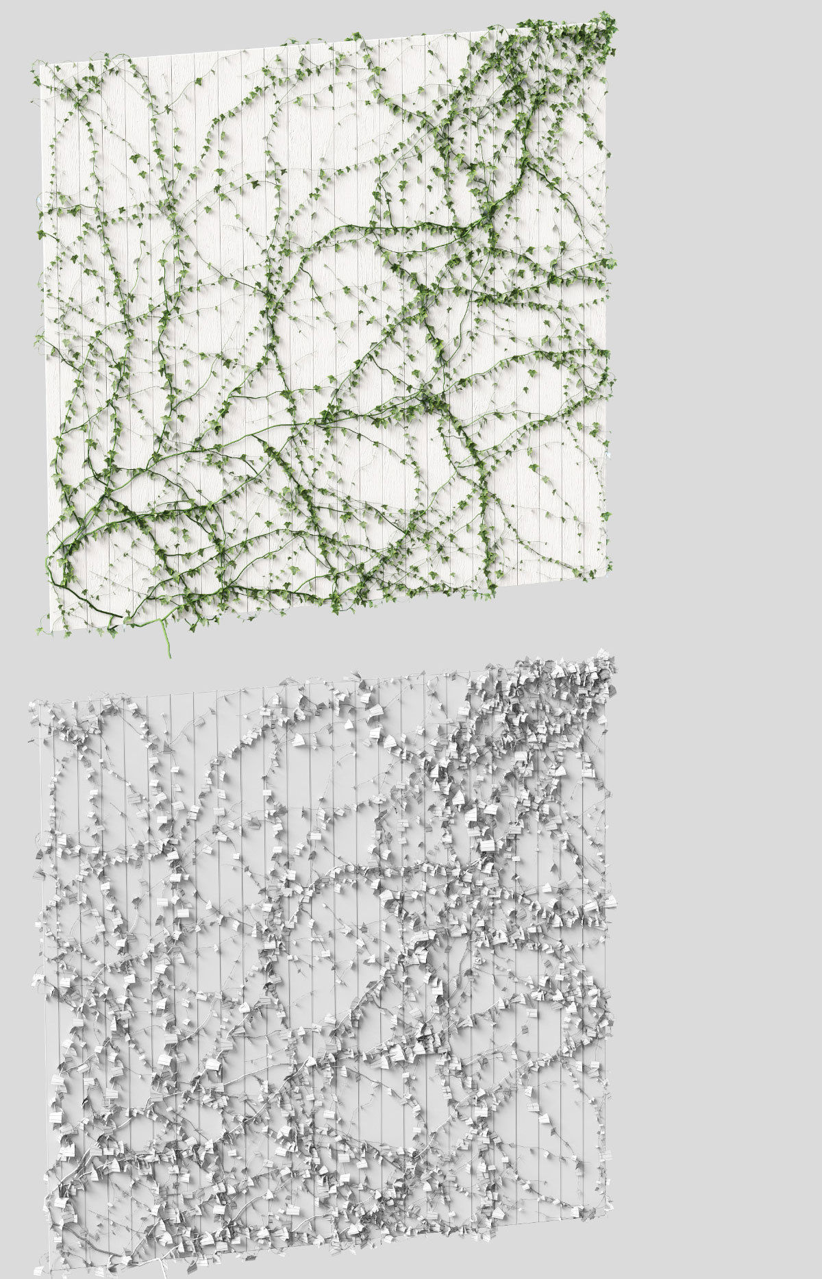 Ivy for the ceiling 4 models 3D model_3