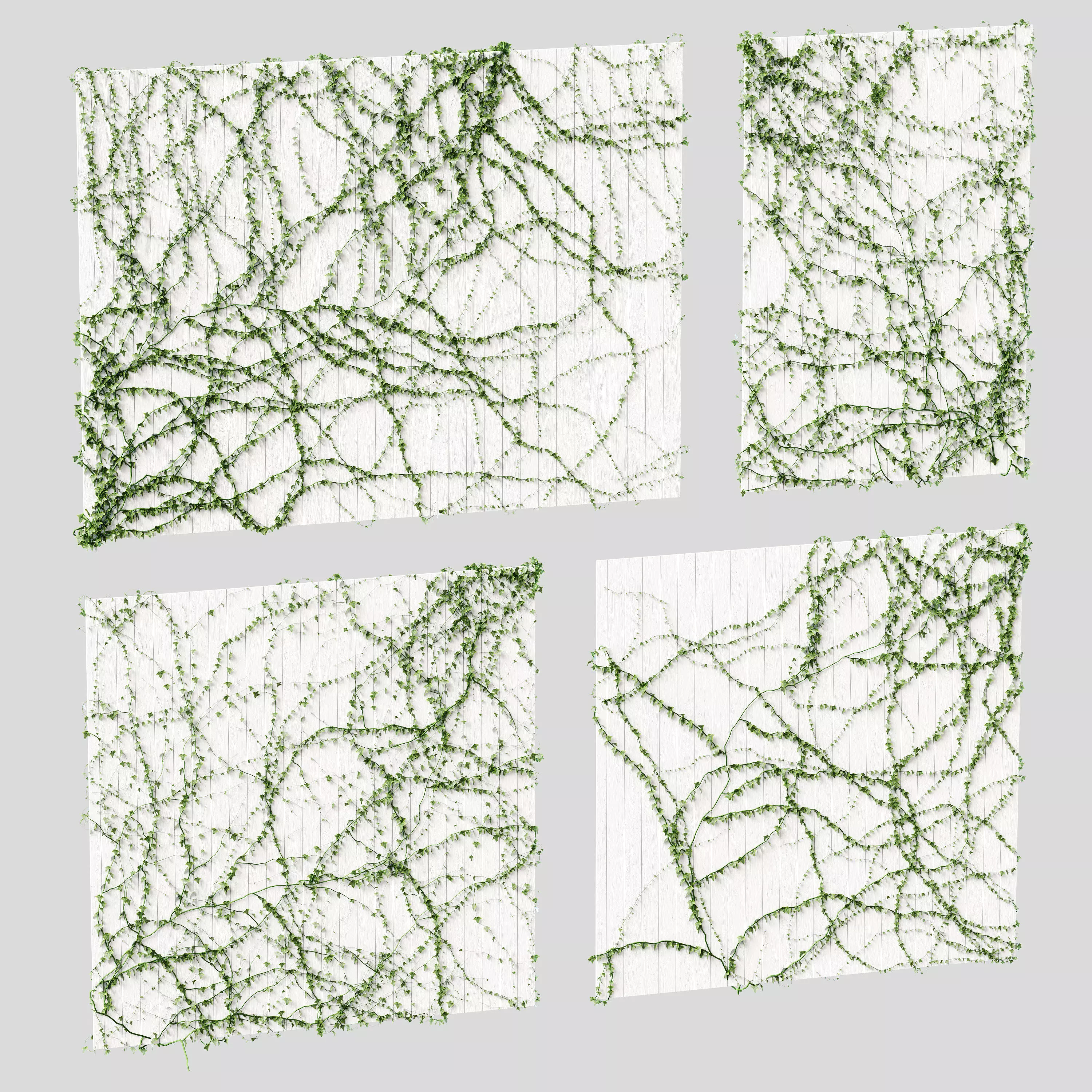 Ivy for the ceiling 4 models 3D model_0