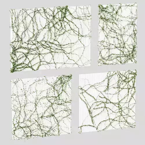 Ivy for the ceiling 4 models