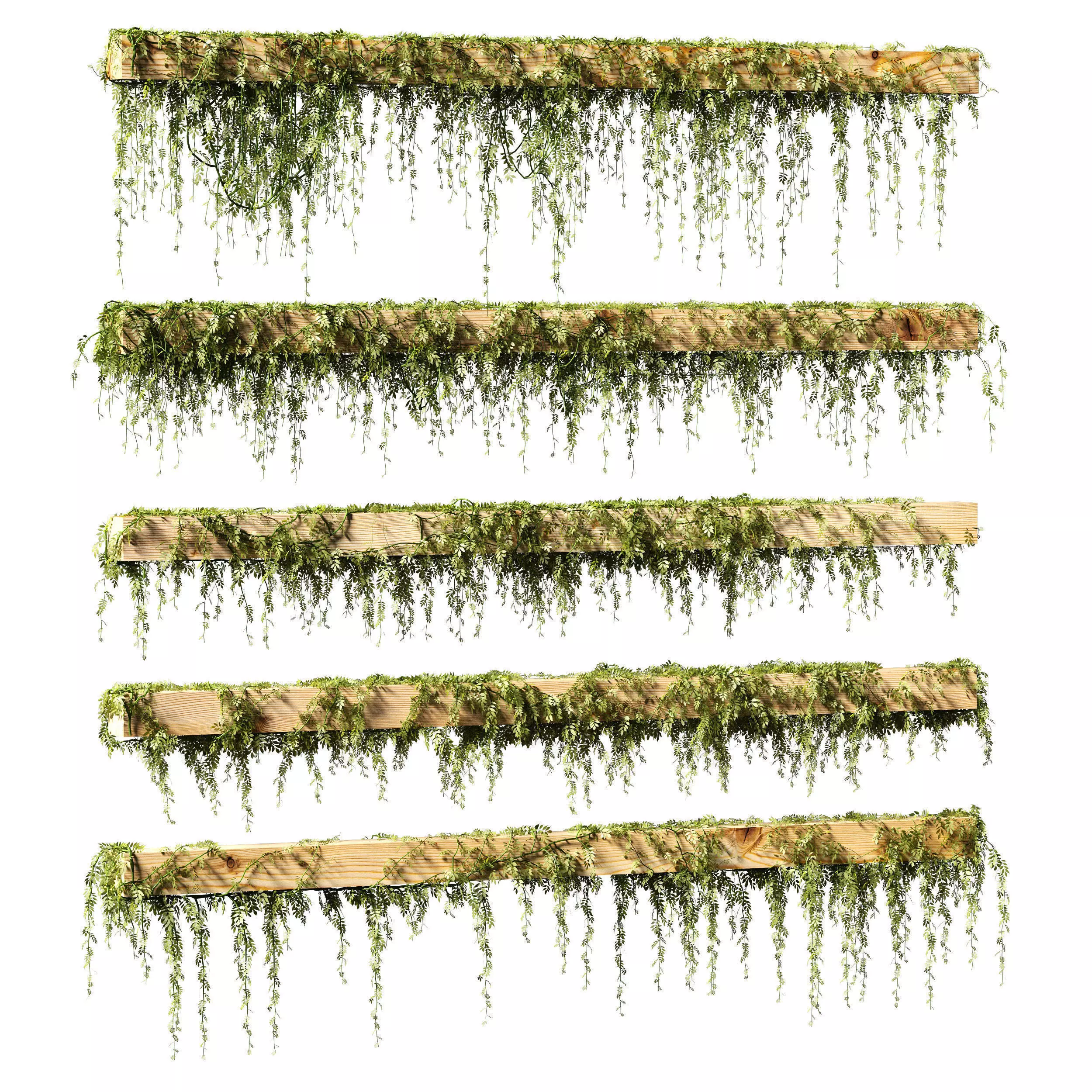 Leaves for beams v2 - 5 models 3D model
