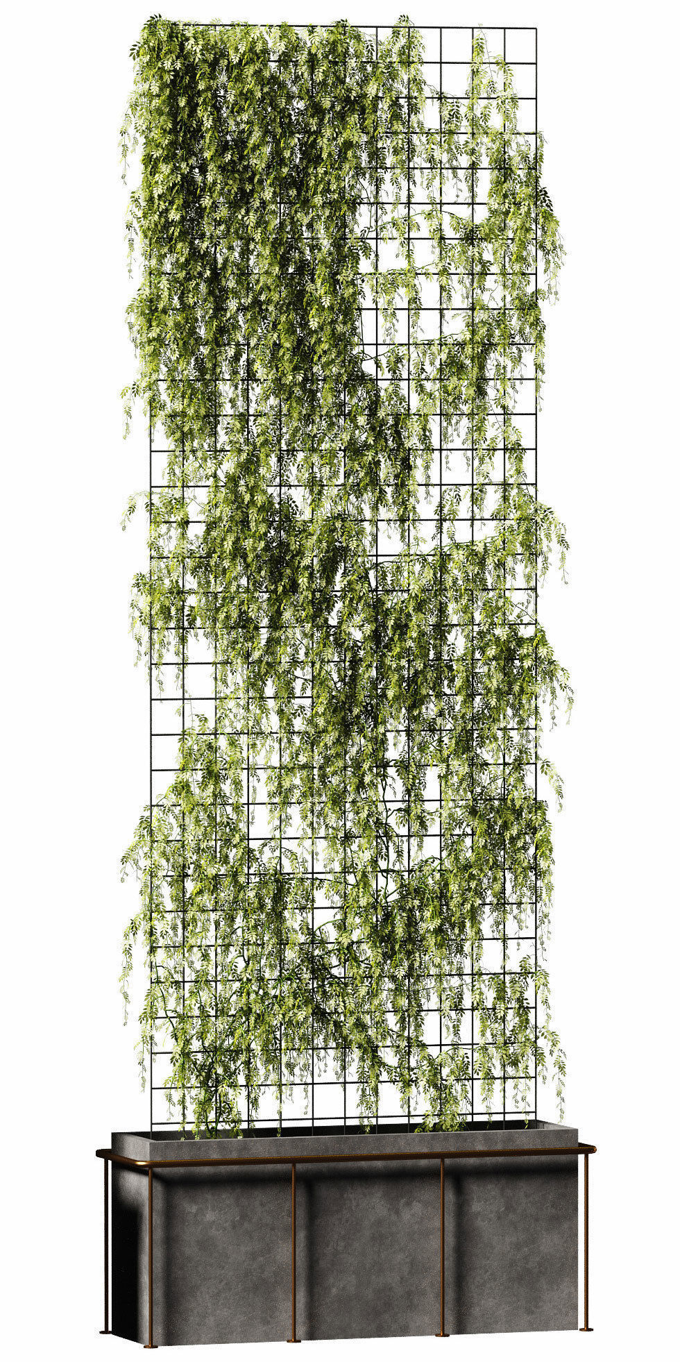 Plant on the grid - 3 models 3D model_5