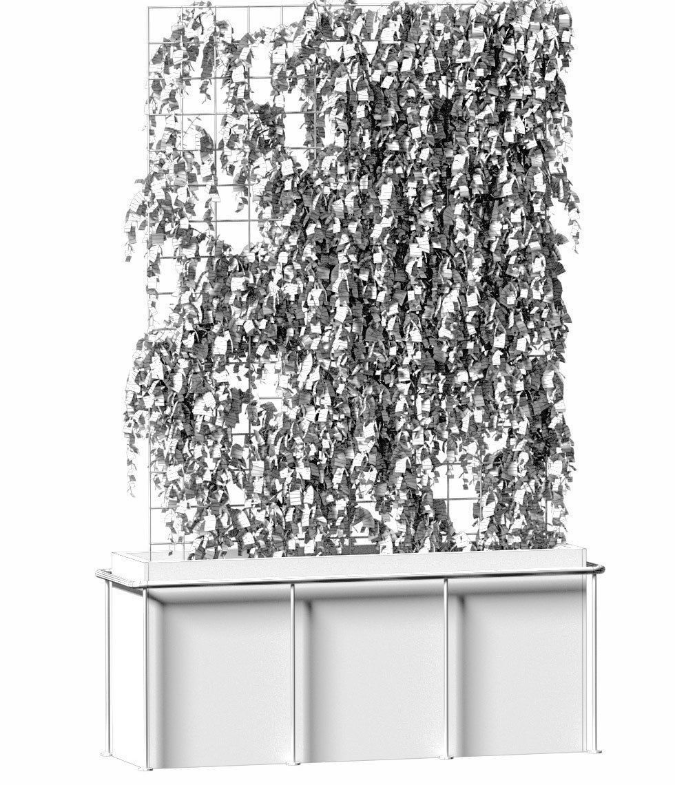 Plant on the grid - 3 models 3D model_4