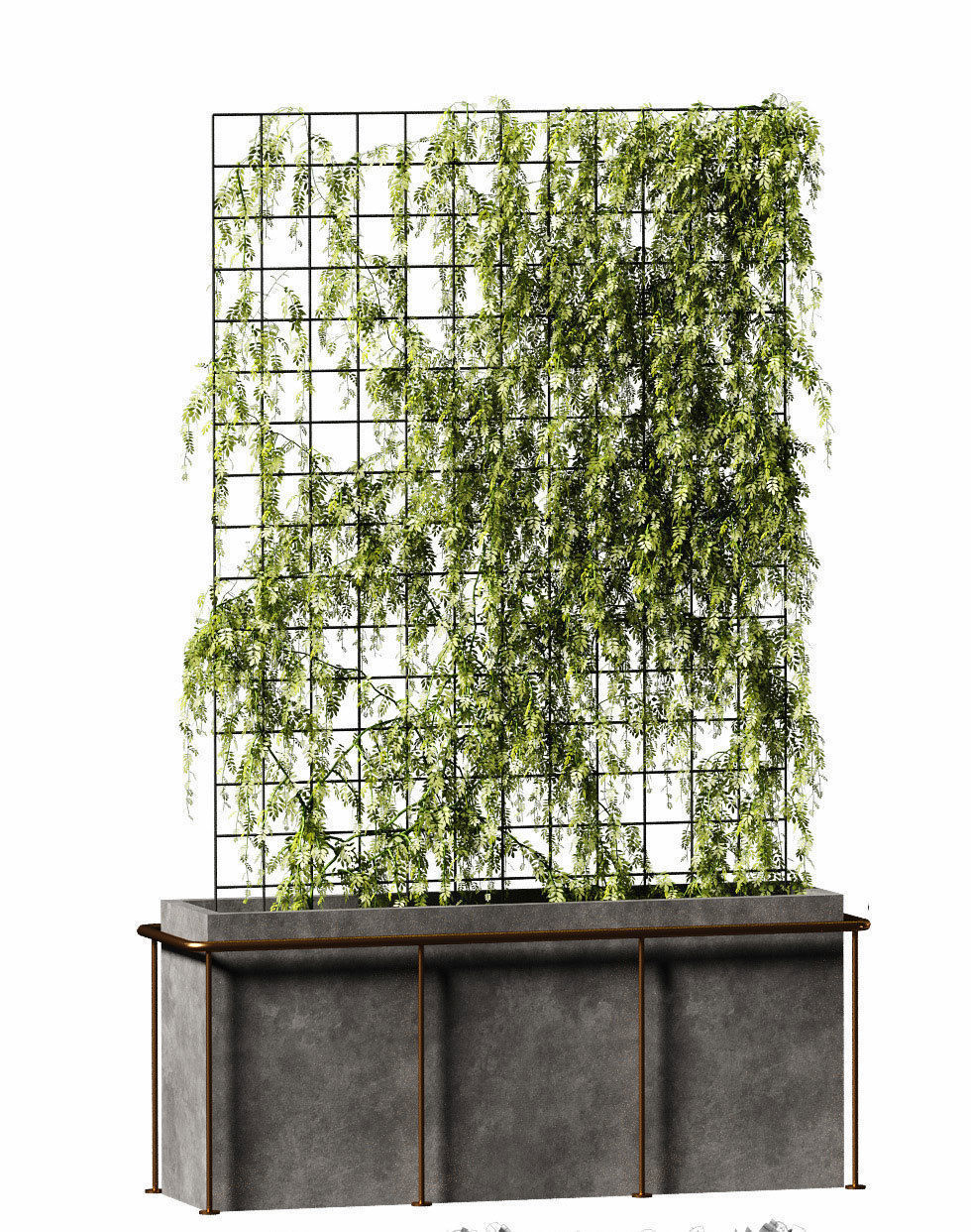 Plant on the grid - 3 models 3D model_3