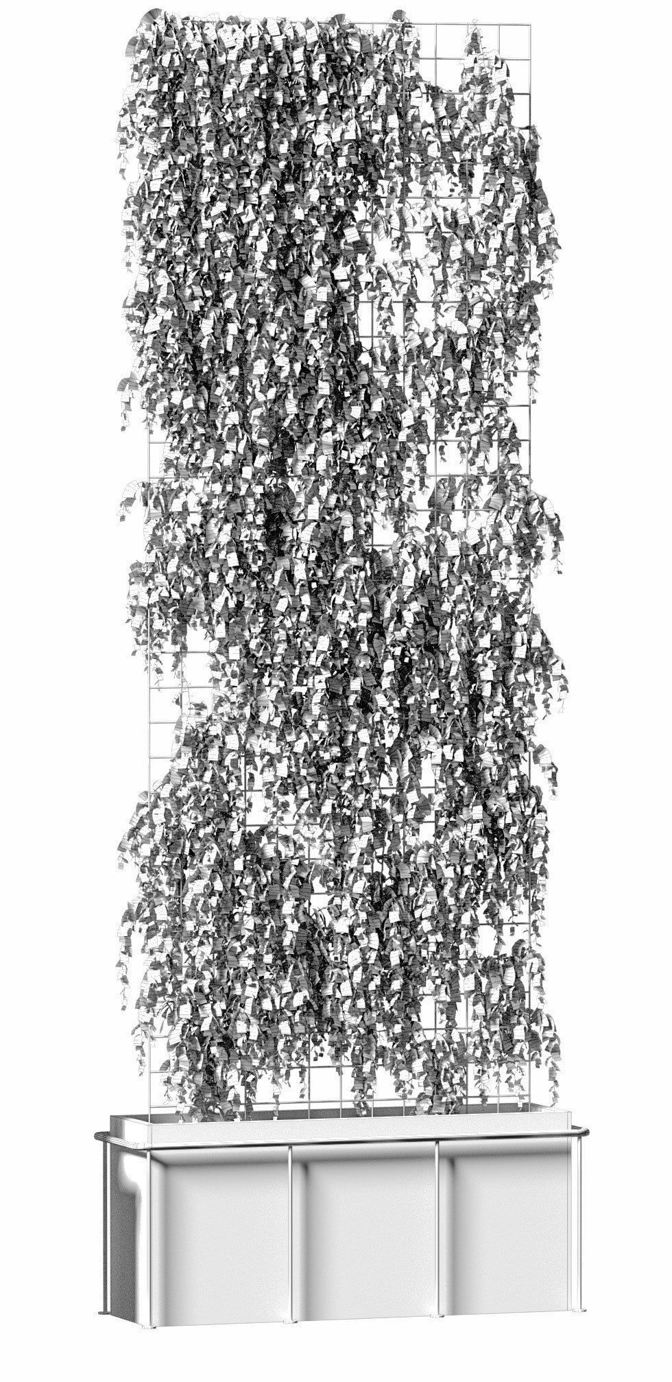 Plant on the grid - 3 models 3D model_6