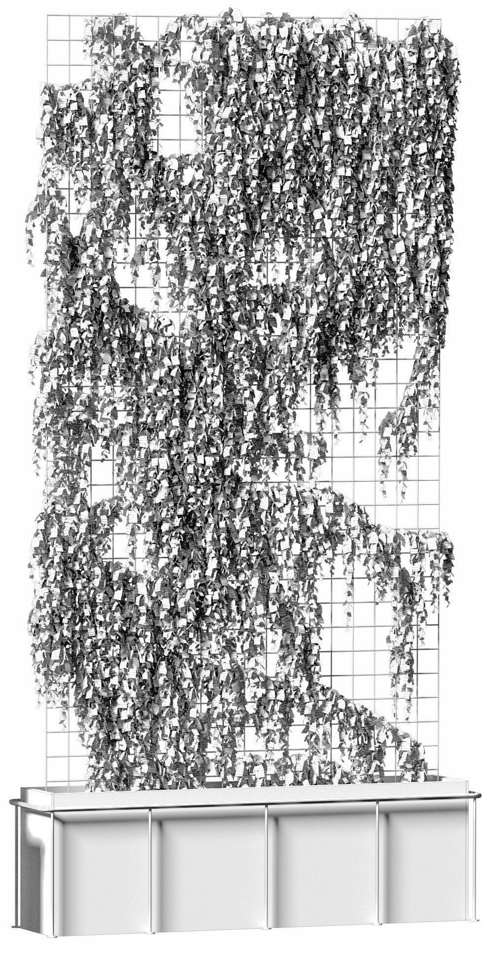 Plant on the grid - 3 models 3D model_8