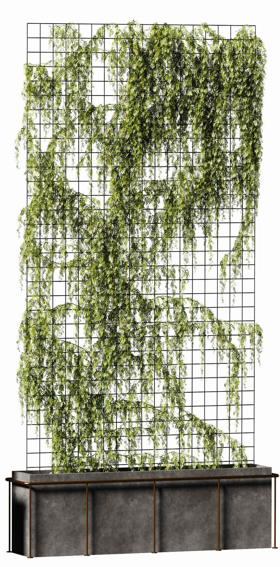 Plant on the grid - 3 models 3D model_7