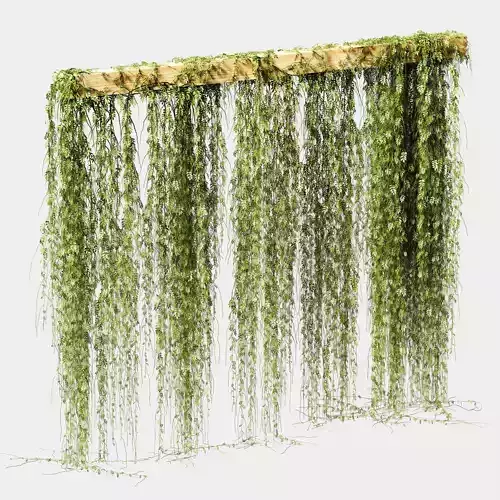 Plant leaf partition or screen