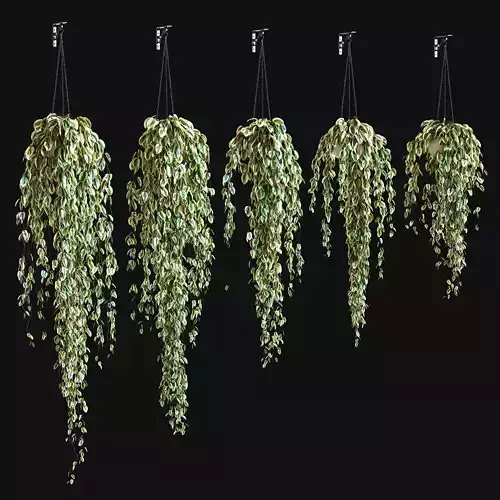 Set of 5 models of plants in a pot hung with a chain on a hook