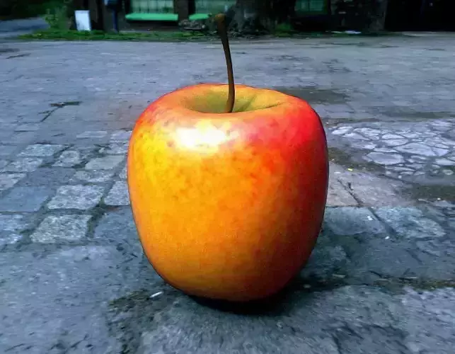 Apple - 2 styles Free low-poly 3D model