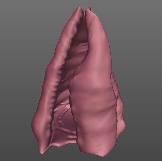 Shell human thorax 3D print model_1