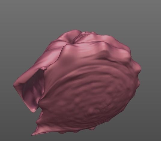 Shell human thorax 3D print model_3