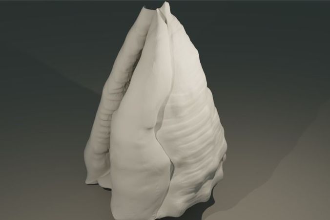 Shell human thorax 3D print model