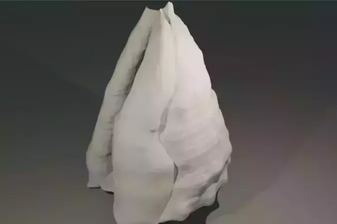 Shell human thorax 3D print model