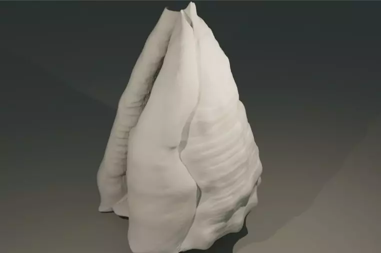 Shell human thorax 3D print model_0