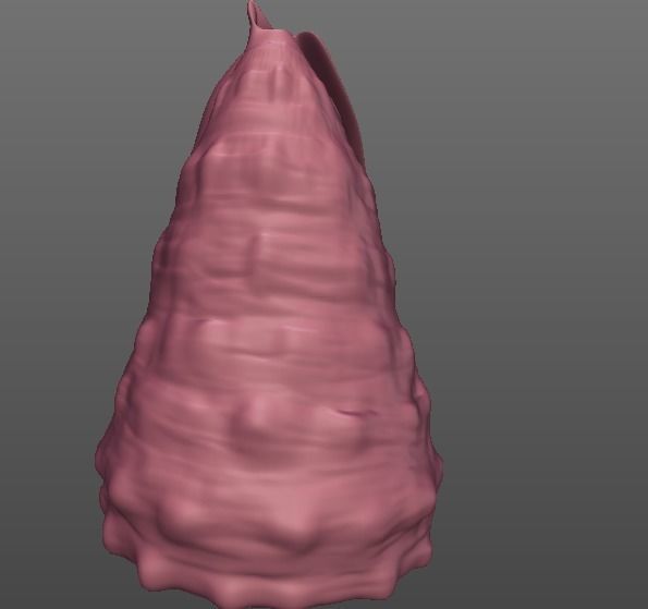 Shell human thorax 3D print model_2