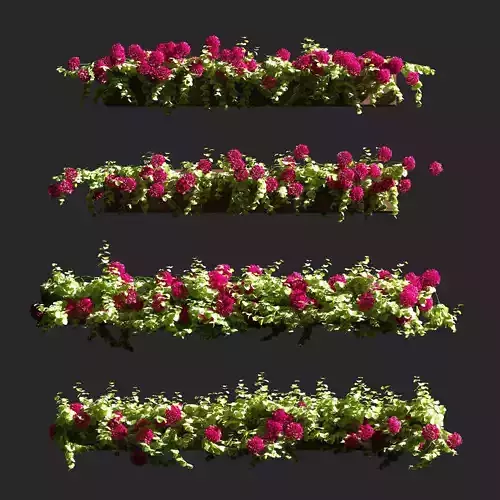 Plant Geranium Facade v2