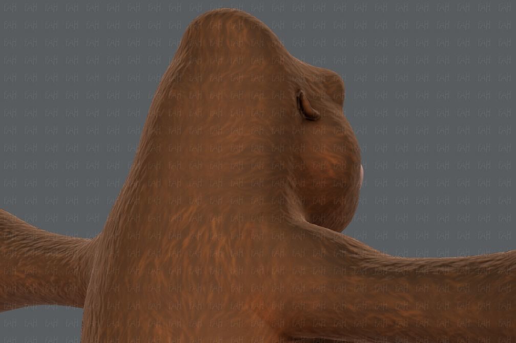 King Kong V01 Low-poly 3D model_20