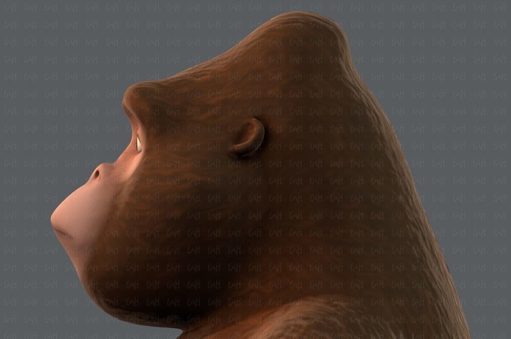 King Kong V01 Low-poly 3D model_37