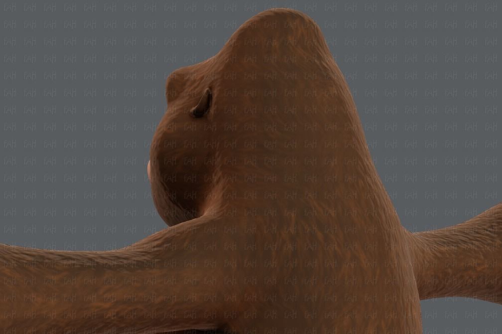 King Kong V01 Low-poly 3D model_22