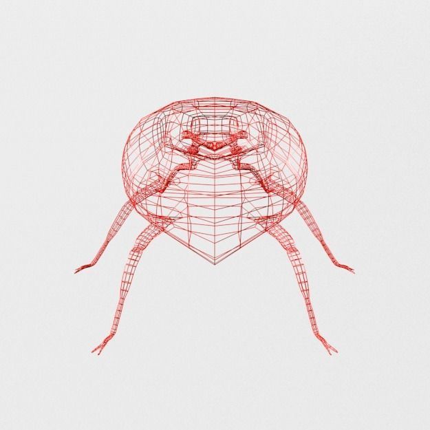 Ladybug Low-poly 3D model_5
