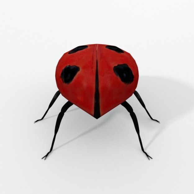 Ladybug Low-poly 3D model_1