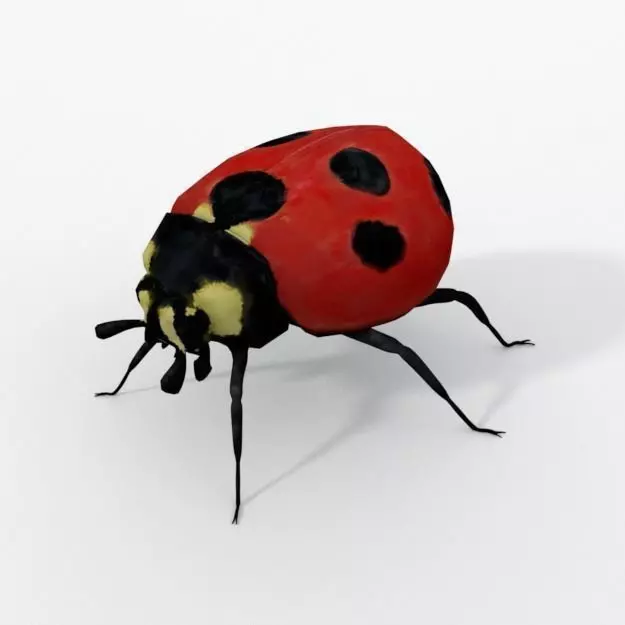 Ladybug Low-poly 3D model_0