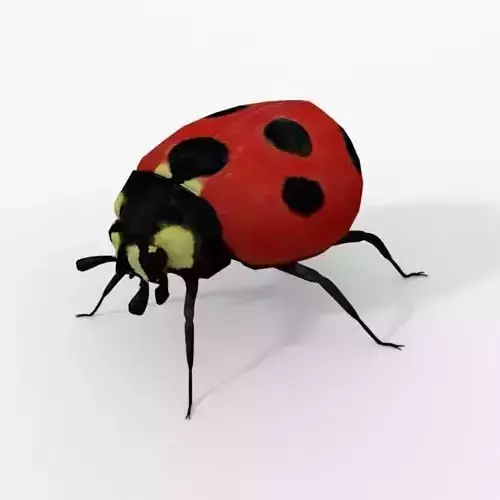 Ladybug Low-poly 3D model