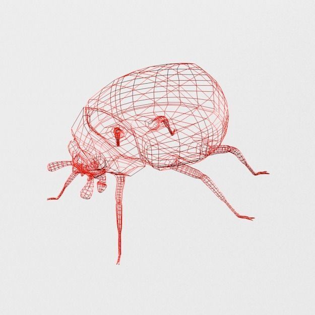 Ladybug Low-poly 3D model_4