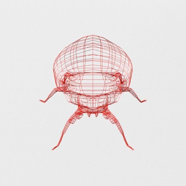 Ladybug Low-poly 3D model_6