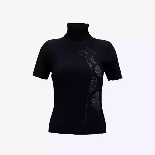 Turtle Neck Decorated Top Dark