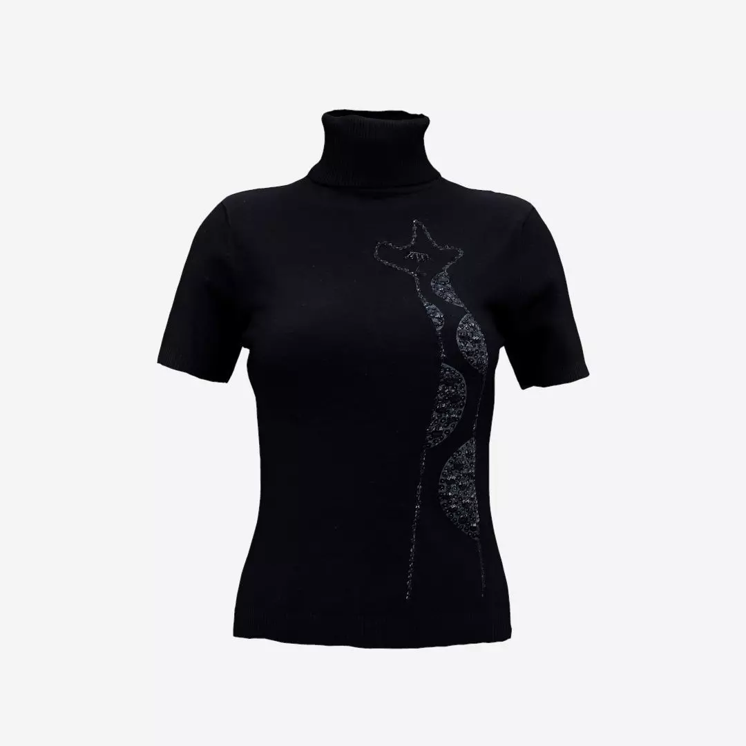 Turtle Neck Decorated Top Dark Low-poly 3D model