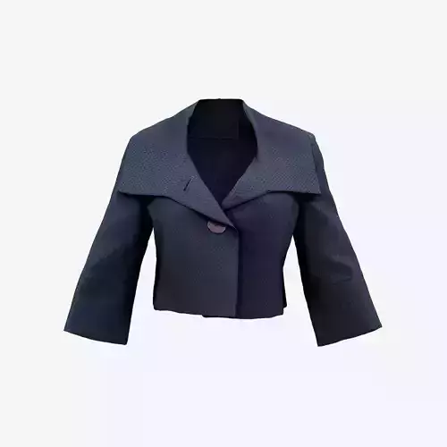 Mini Stylish Jacket Top