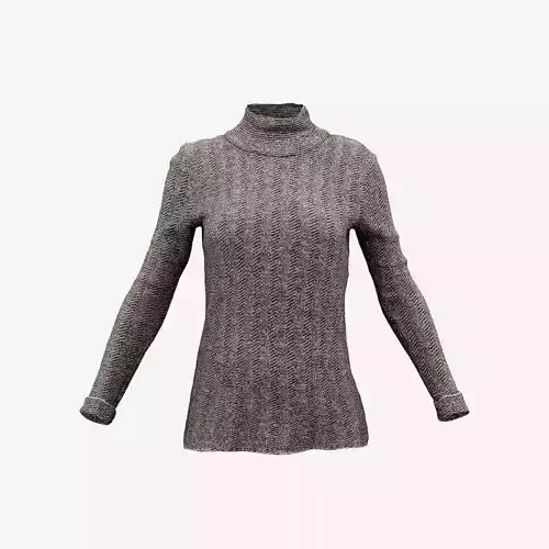 Brown Turtle Neck Pull Top Low-poly 3D model