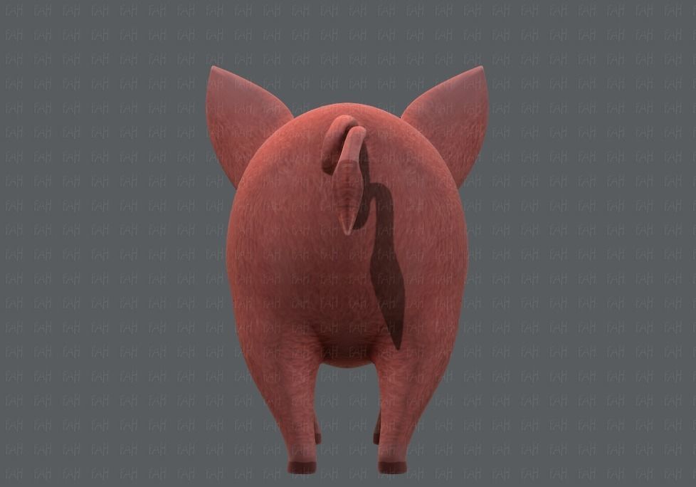 Pig cartoon V02 Low-poly 3D model_5