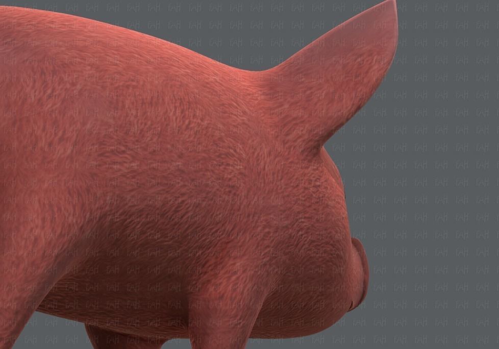 Pig cartoon V02 Low-poly 3D model_20