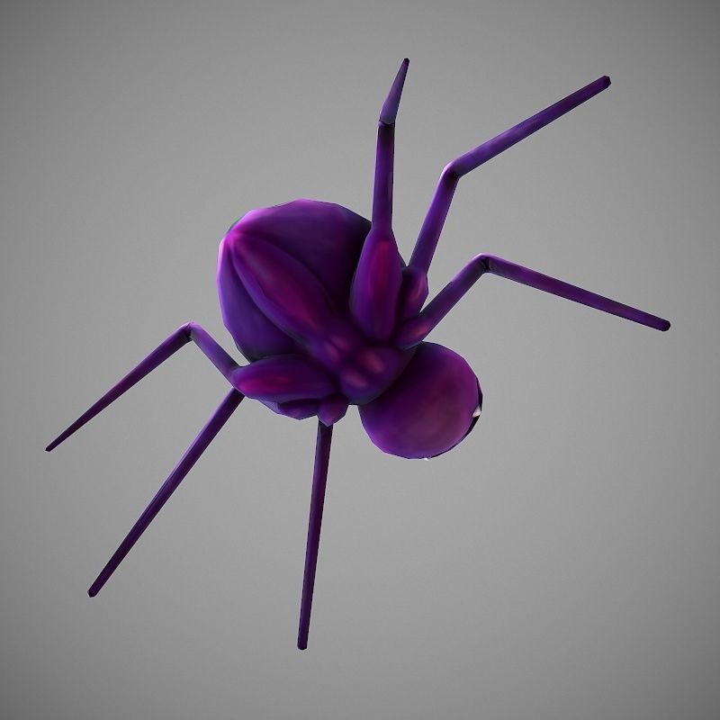Hand Painted Spider  Low-poly 3D model_5