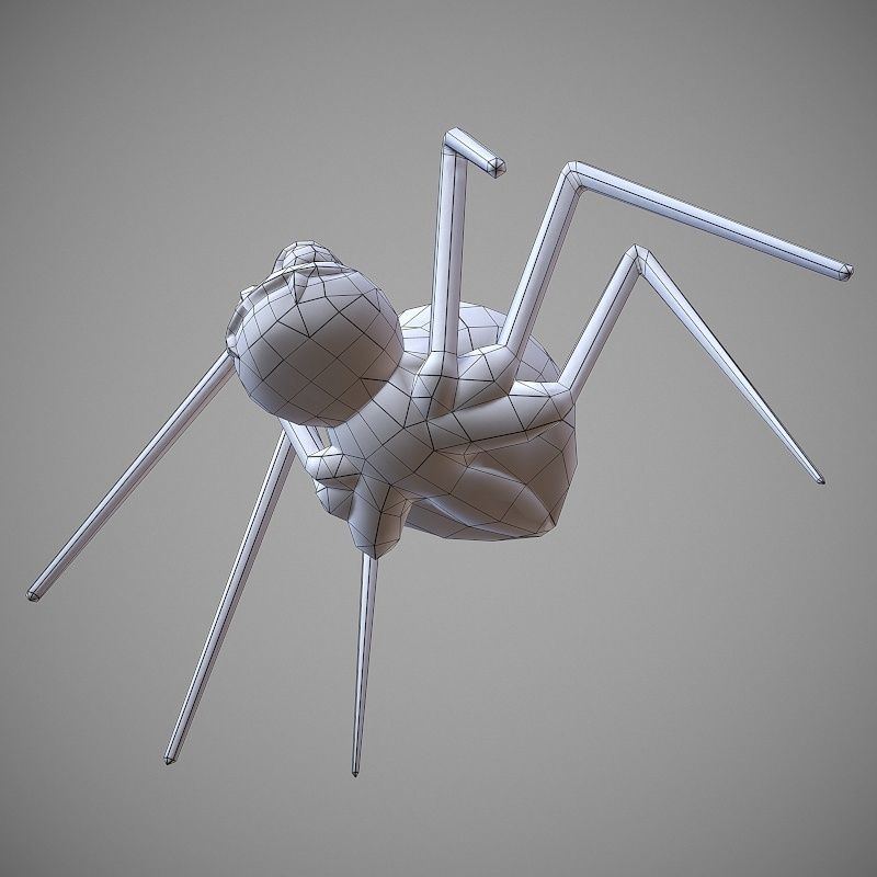 Hand Painted Spider  Low-poly 3D model_15