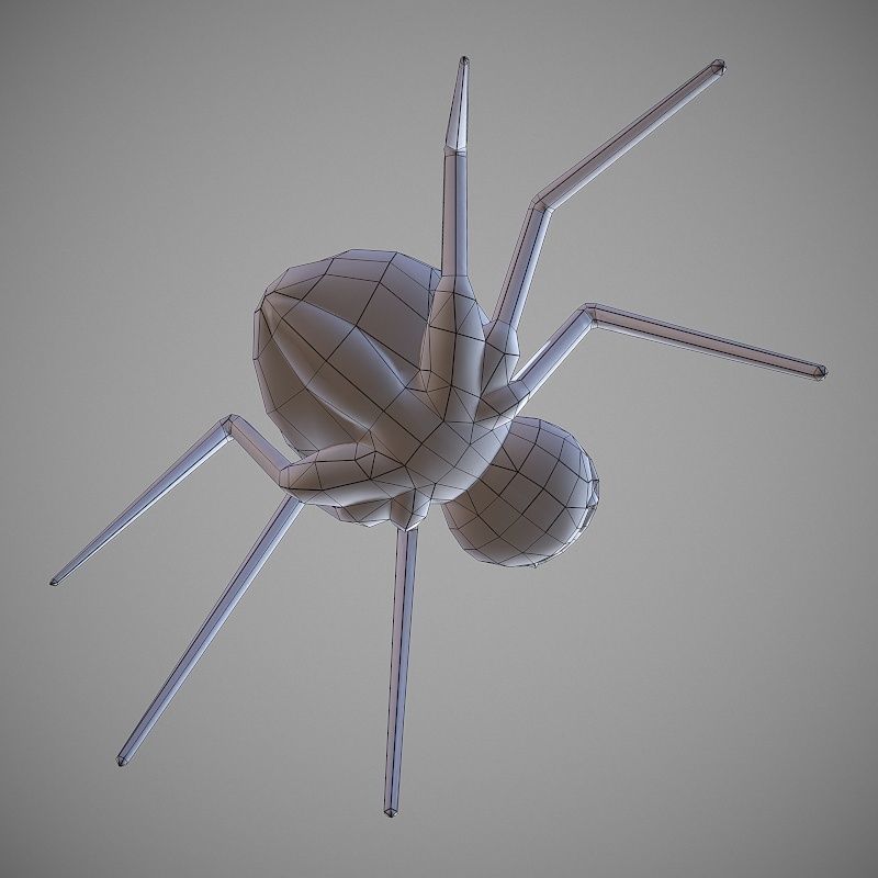 Hand Painted Spider  Low-poly 3D model_14