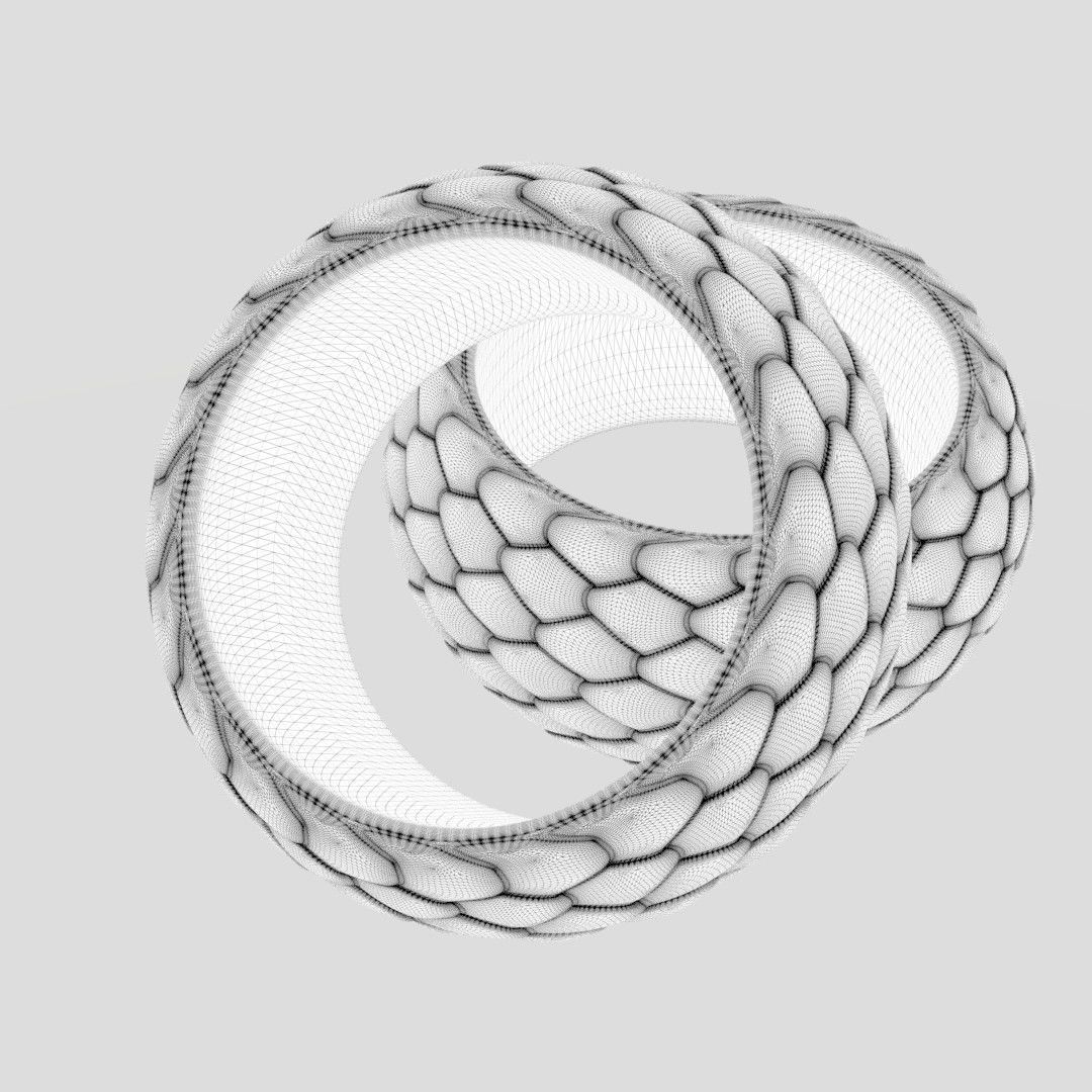 SnakeSkin Ring  3D print model_5