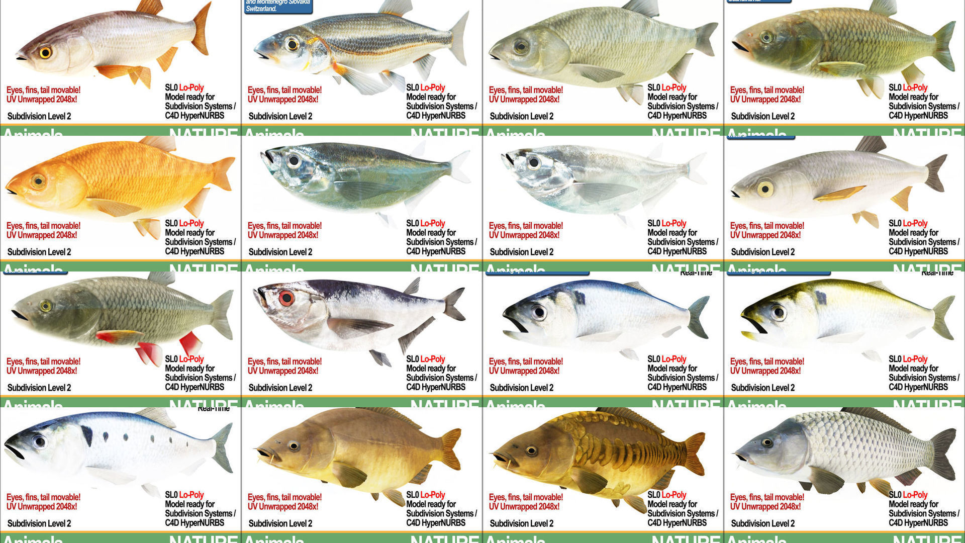 Fish Low Poly Collection of week - tuesday february _18