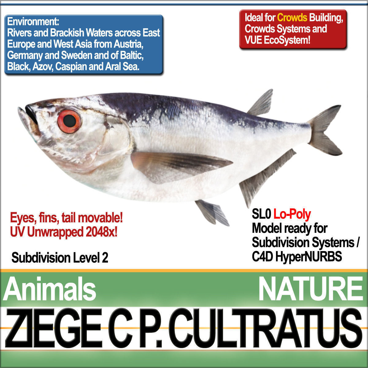 Fish Low Poly Collection of week - tuesday february _12