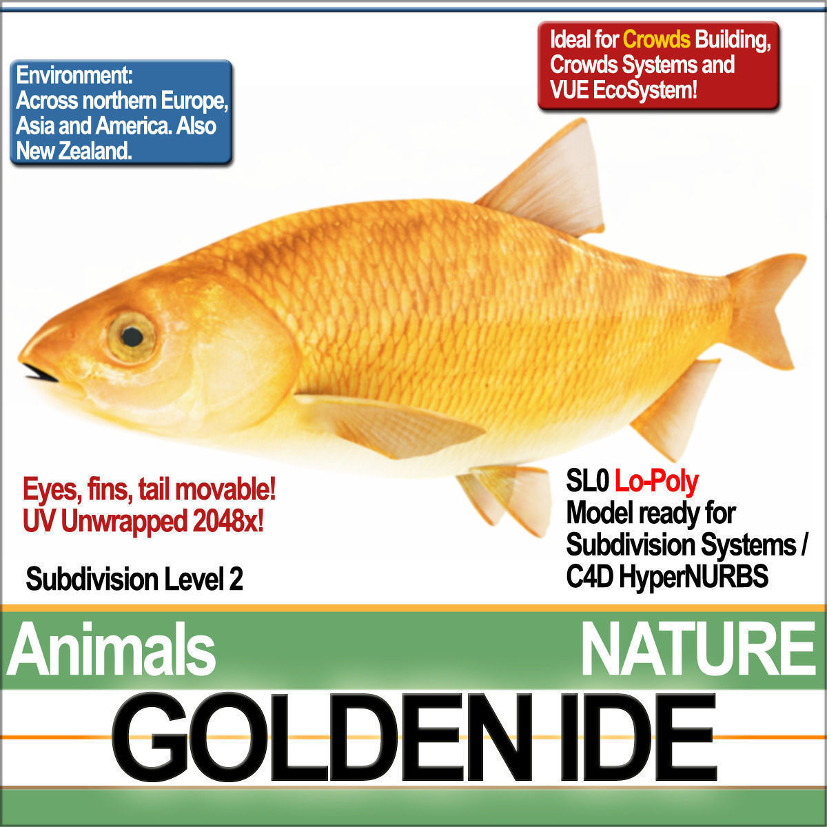 Fish Low Poly Collection of week - tuesday february _7